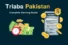 Triaba Pakistan – Complete Guide to Surveys, Login, and Earnings